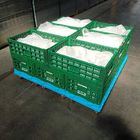 녹색 플라스틱 저장은 열매 남새를 위해 600x400x220cm을 나무 상자에 채워 넣습니다